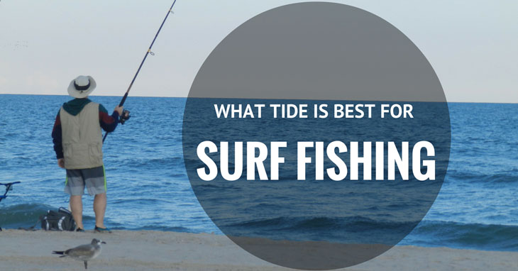 When (Time, Year, Moon, Weather) to go Surf Fishing?